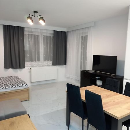 Tauzen Apartaments 18 Катовіце Екстер'єр фото